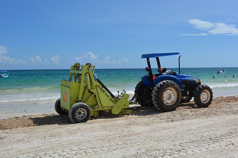 File:Tulum beach cleaning.JPG