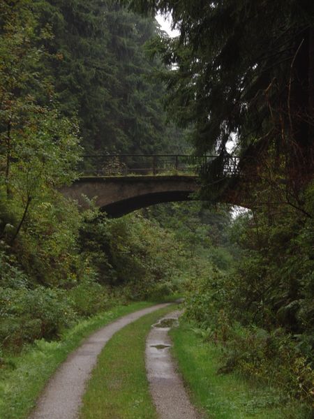 File:Wanderweg Innerstetalbahn harz.JPG