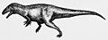 Acrocanthosaurus