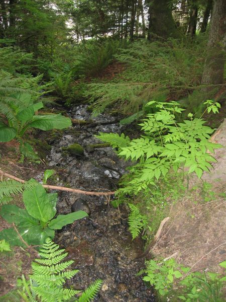 File:CapilanoRiverRegPark-creek.jpg