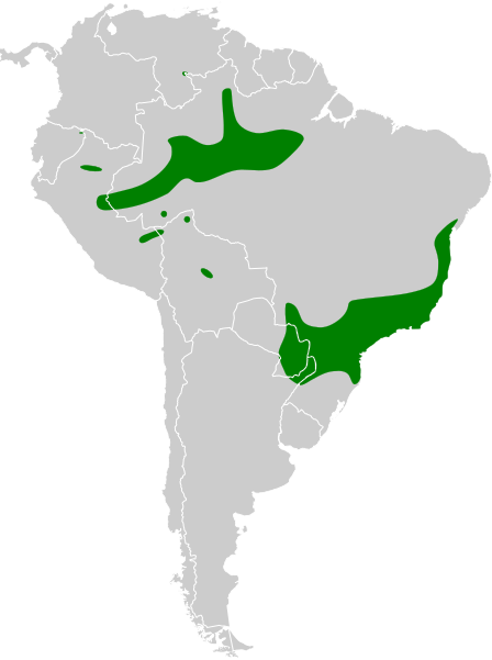 File:Conopias trivirgatus map.svg