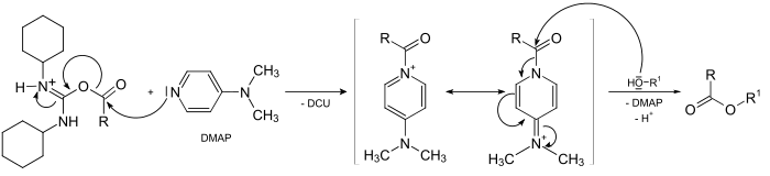 Action of DMAP in the Steglich esterification