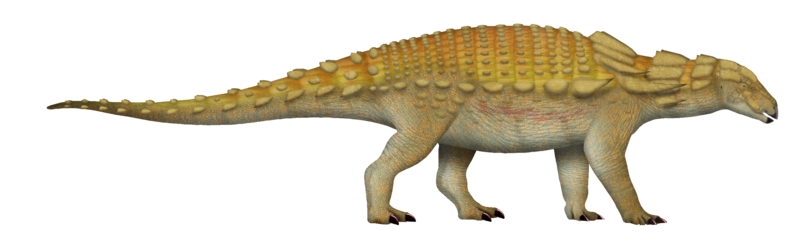 File:Edmontonia UDL.png