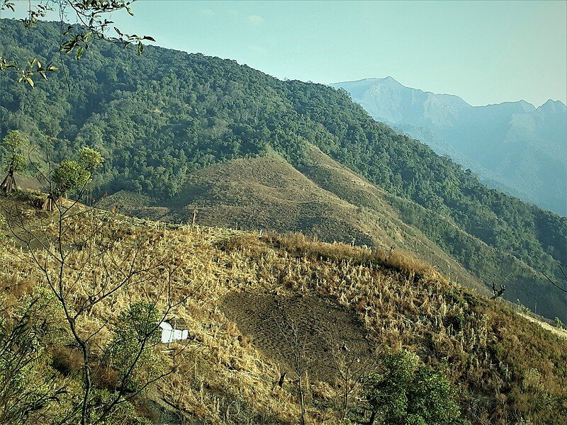 File:Jhum cultivation.jpg