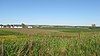 Wide-open farm fields in late summer, seen from a hill