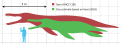 Size estimates of Kronosaurus queenslandicus