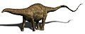 Rebbachisaurus, North Africa