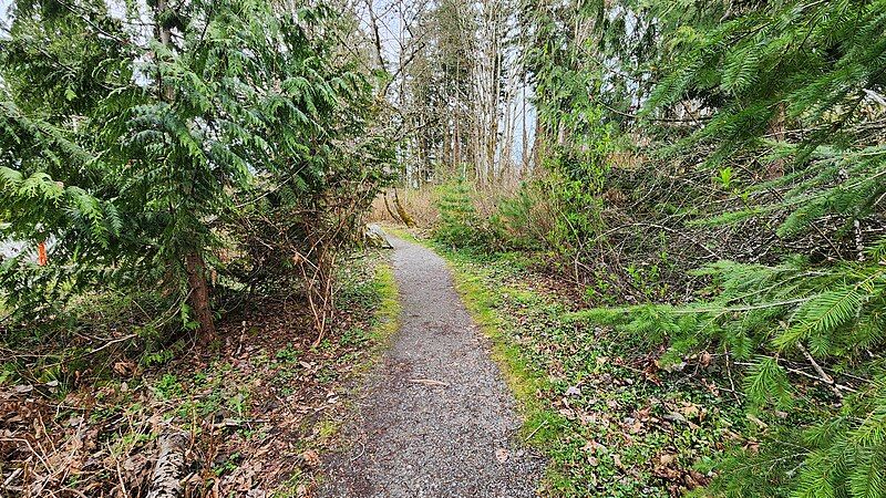 File:Redmond West Wetlands.jpg