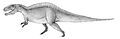 Acrocanthosaurus, a theropod from the mid-Cretaceous.