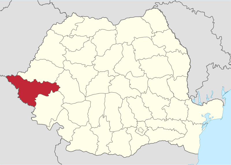 File:Timis in Romania.svg