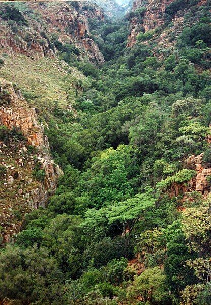 File:Tonquani Kloof00.jpg