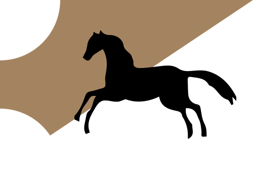 File:Tunis Hafsid flag.svg