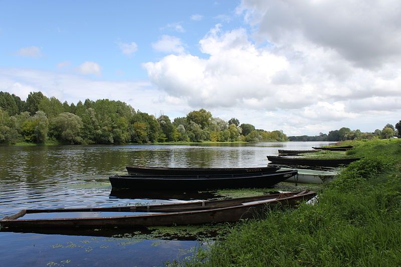 File:Vienne à Rivière.JPG