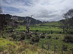 Waipatukahu Valley