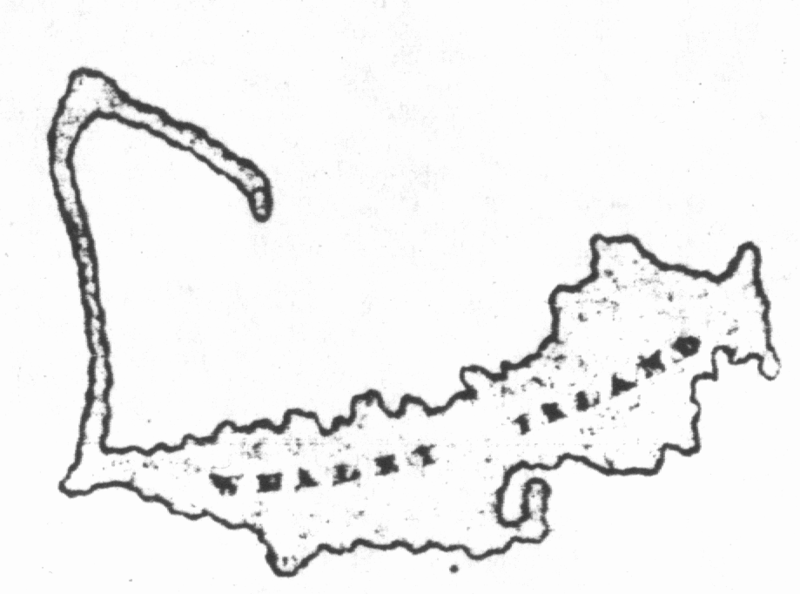 File:Whale islandmap1833.png