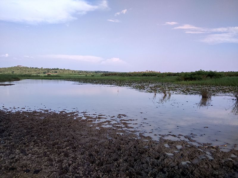 File:Yala Swamp-2.jpg