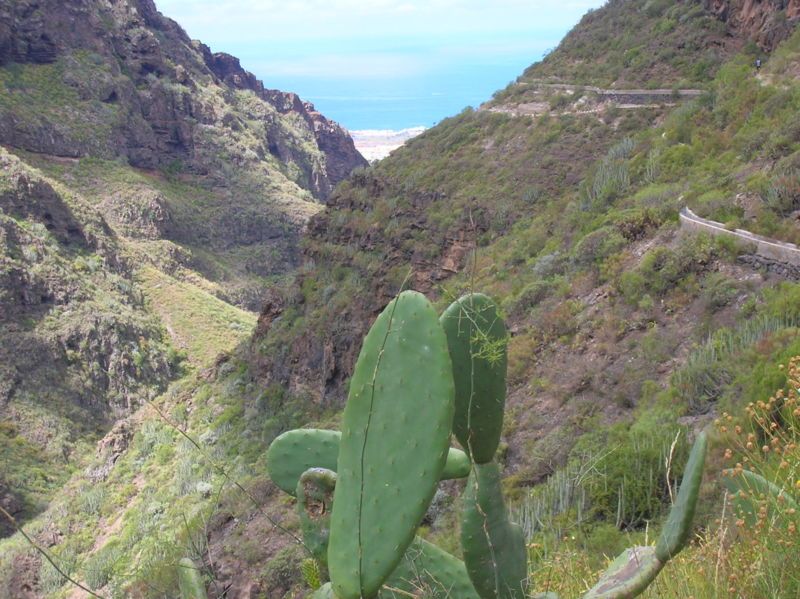 File:Barranco del Infierno.JPG