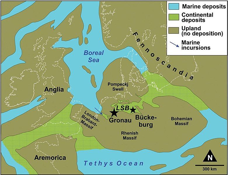 File:Brancasaurus map.jpg