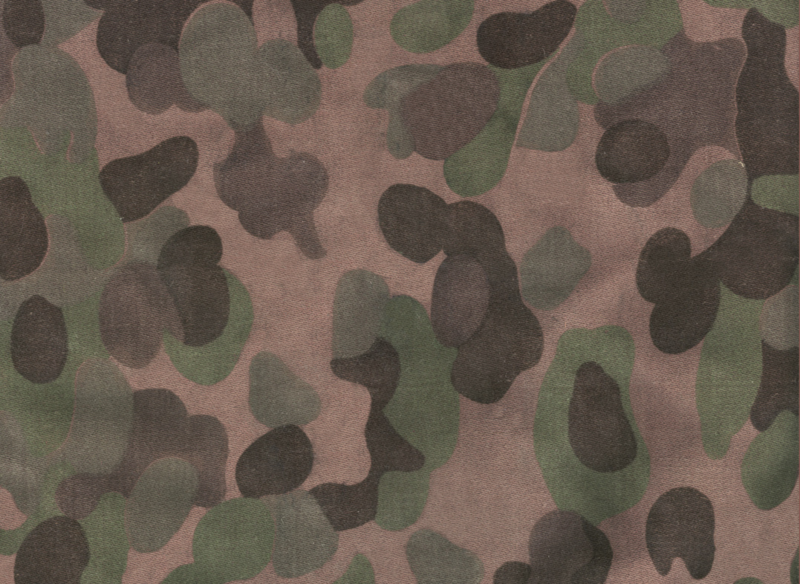 File:Camouflagio.png