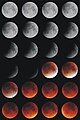 The stages of the Lunar eclipse from Staffordshire, UK