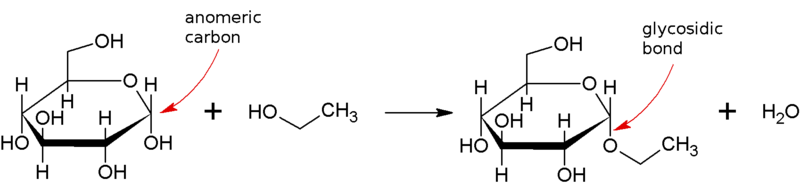 File:Ethyl-glucoside.png