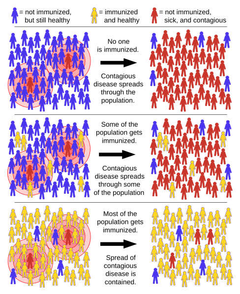 File:Herd immunity.svg