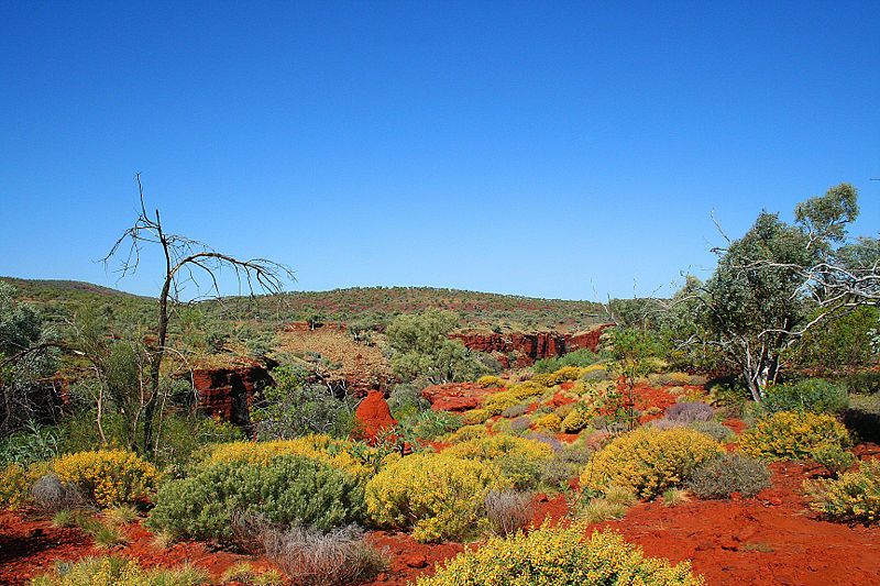 File:Karijini1.jpg