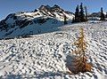 Frisco Mountain from Maple Pass area