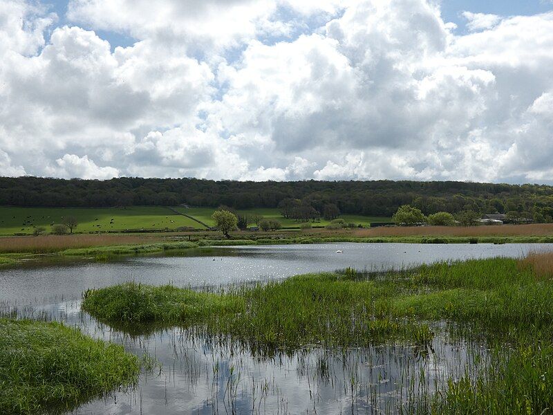 File:Leighton Moss Grisedale.jpg