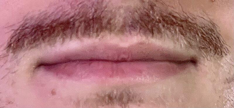 File:Lips 2023.jpg