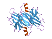 2b16: The crystal structure of 2,4-dinitrophenol in complex with the amyloidogenic variant Transthyretin Tyr78Phe