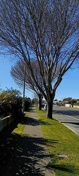 File:Parkvale suburb 08.jpg