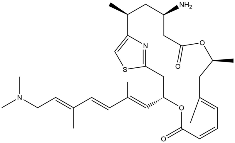 File:Pateamine A.png