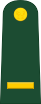 File:Peru-Army-OF-1a.svg