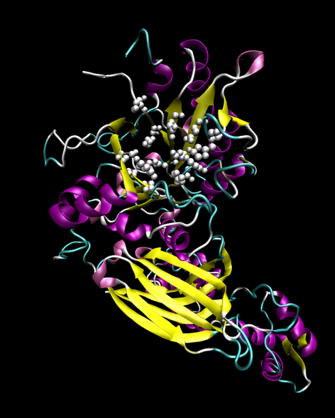 File:Phospholipase C-1.png