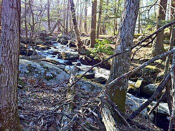 Pixie Falls in Natchaug State Forest in Ashford via side trail from Nipmuck Trail.