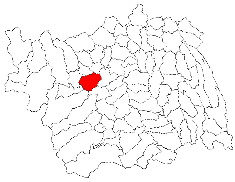 File:Poduri jud Bacau.png