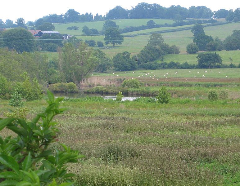 File:Quoisley Little Mere.jpg