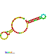 isrJ Hfq binding RNA: Predicted secondary structure taken from the Rfam database. Family RF01393.