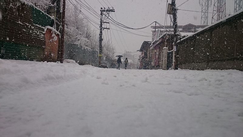 File:Rajbagh Snow.jpg