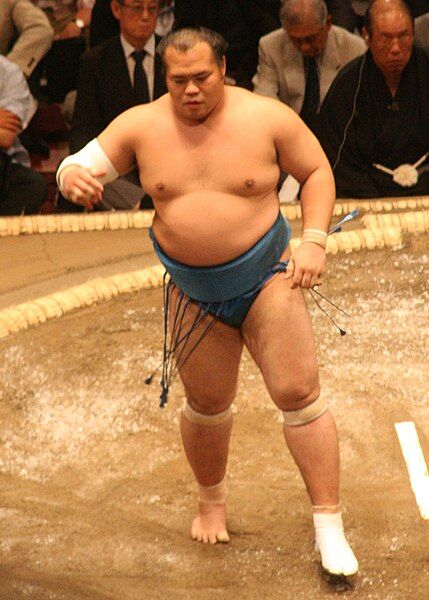 File:Sumo May09 Chiyohakuho.jpg