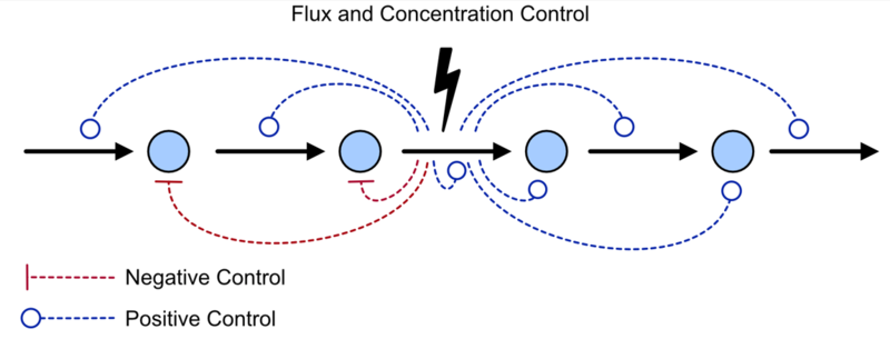 File:SystemControl.png