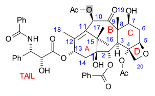 File:TaxolNumberingScheme.svg