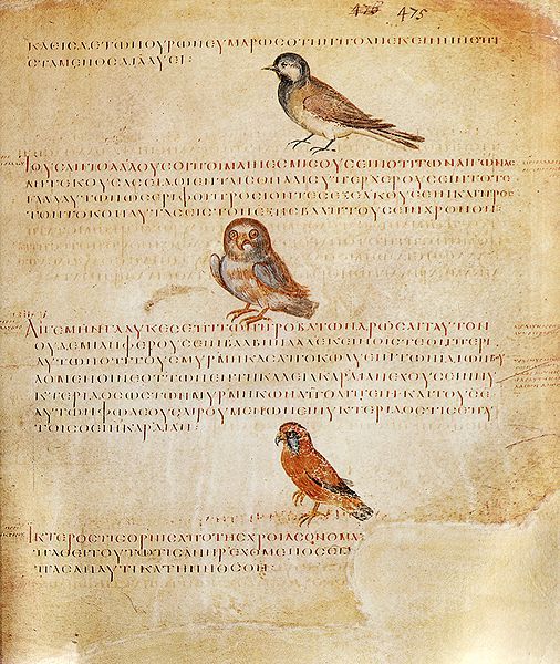 File:ViennaDioscoridesBirds.jpg