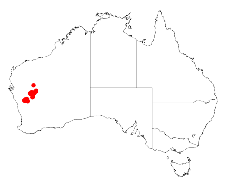 File:Acacia speckiiDistMap833.png