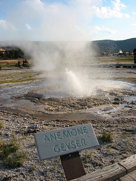 File:Anemone Geyser.jpg