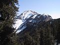 Image 25Mount Charleston (from Nevada)