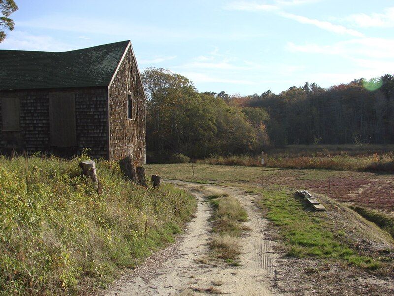 File:Cranberry bog W.jpg