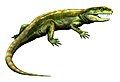 Caseasaurs