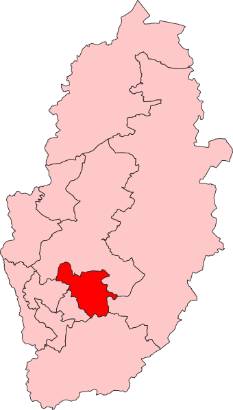 File:Gedling Constituency 2024.svg